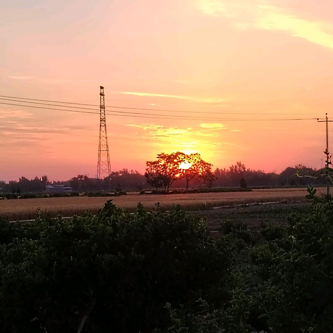 雪儿注胶机加工，硫化机加工。