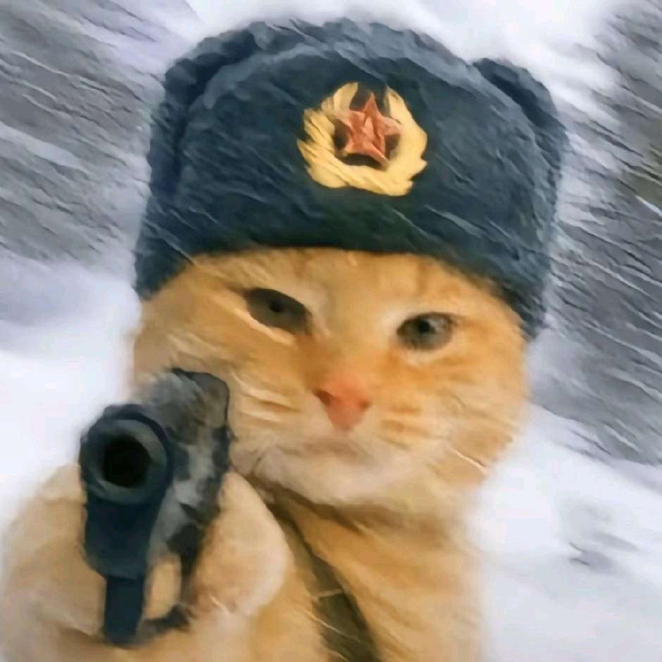 一心愁谢如枯兰