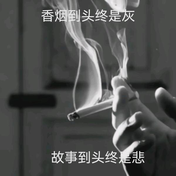 【落叶  无声】