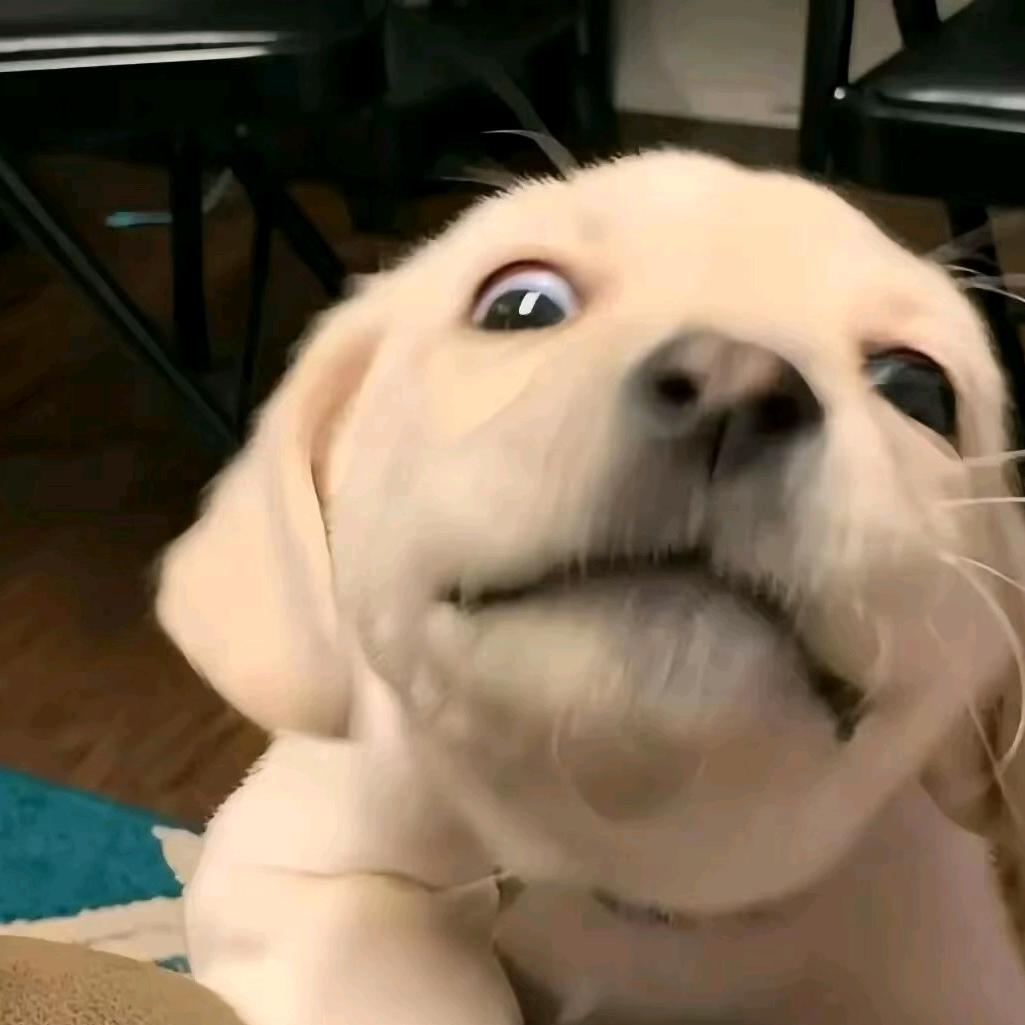 乐都大东家装饰 小王哥