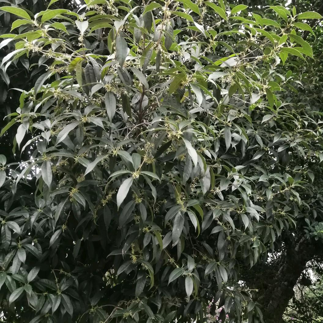 做好自己，我就是我