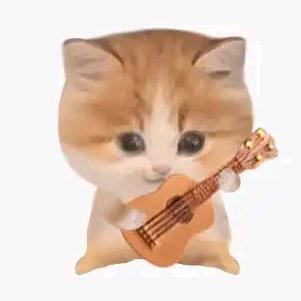崔枢壹