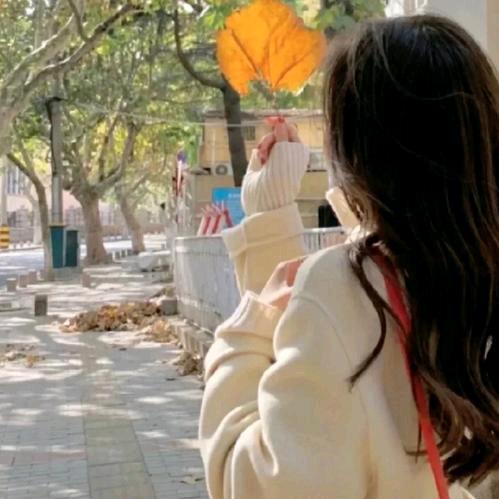 💞ঞᩚ᭄兜里半颗糖ꦿꕥ້໌ᮨ💕: