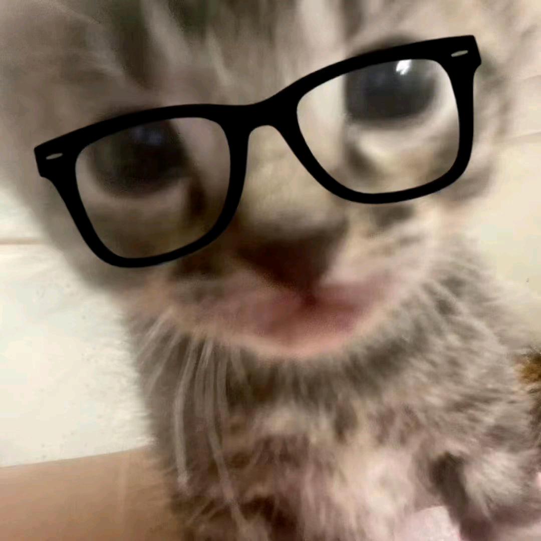 忆