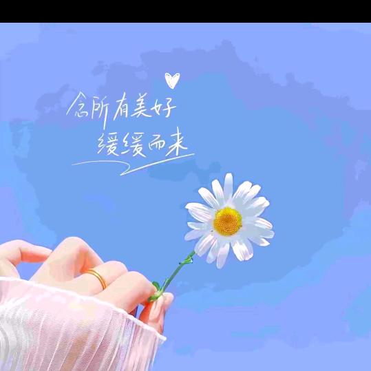 🦋ꦿ໊余生᭄🕊随心᭄ꦿᩚ٭*
