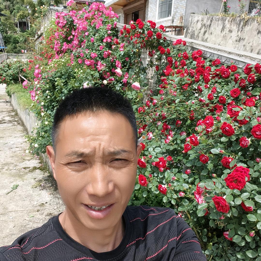 维哥的花园
