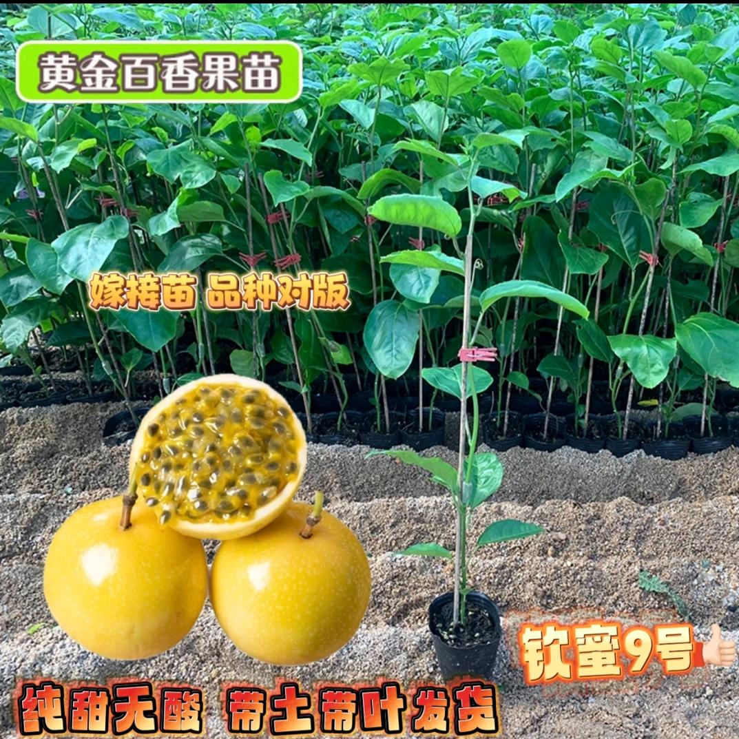 娟姐