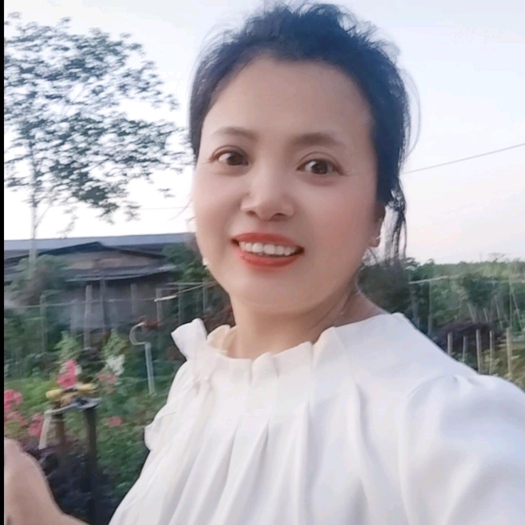 蒲公英
