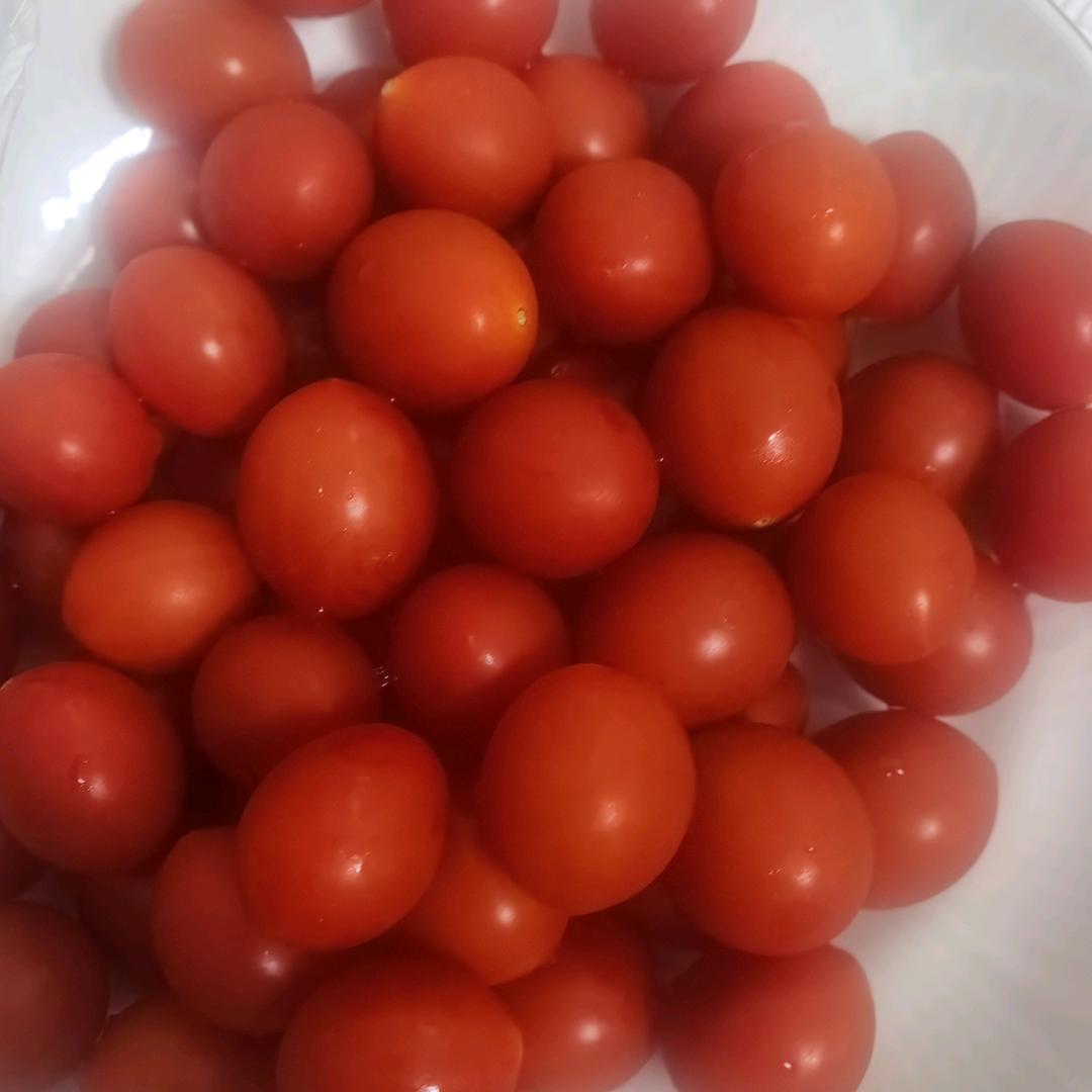 一生没有你