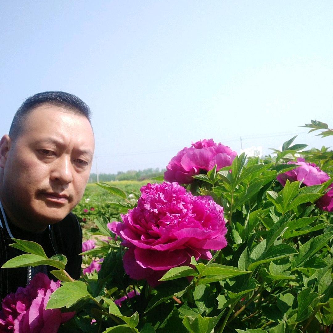江山多娇