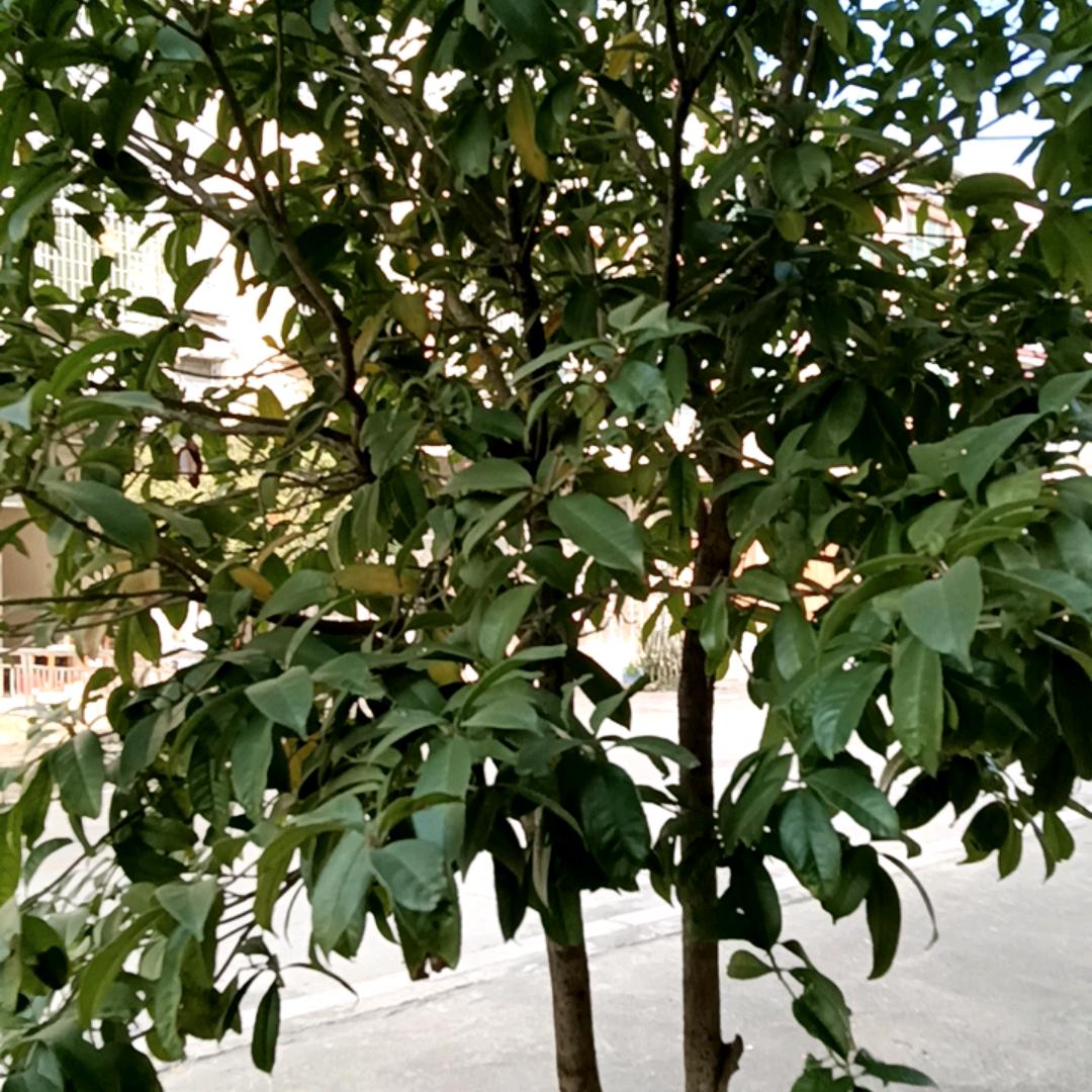 黑骑道天