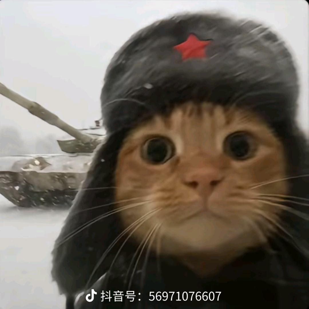 一只啊柔啊.
