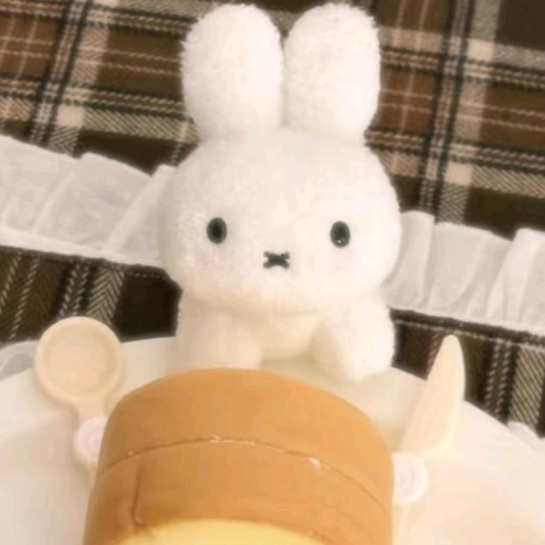Miffy兔芙蕾 ᐢ. ֑ .ᐢ