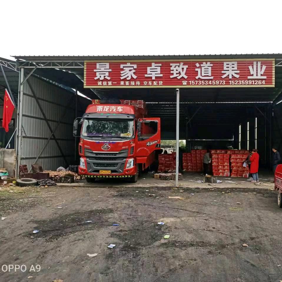 致道果业