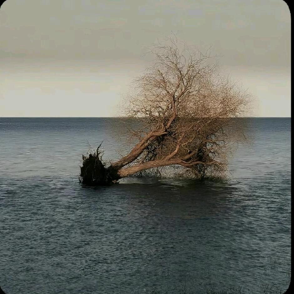 ㅤ    ㅤ吃🐟