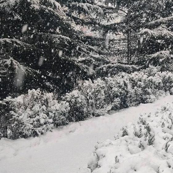 又见飞刀🇨🇳