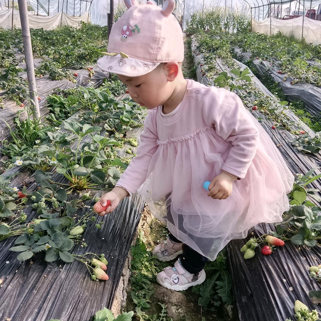 小小豆（姜小林卤味）