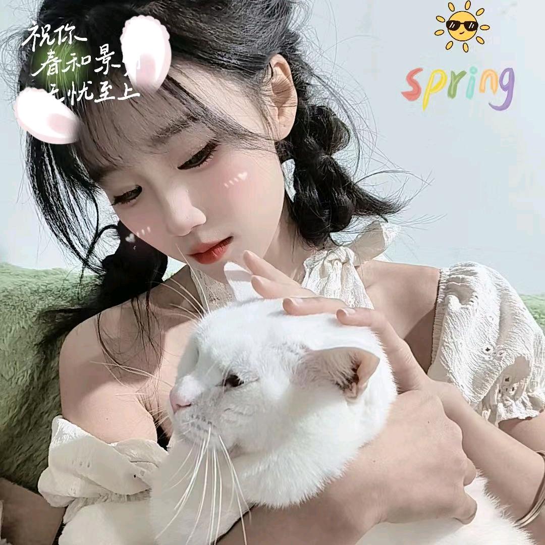 菜菜子