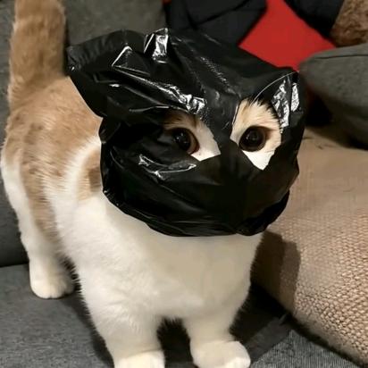 勾勾（三角洲行动）