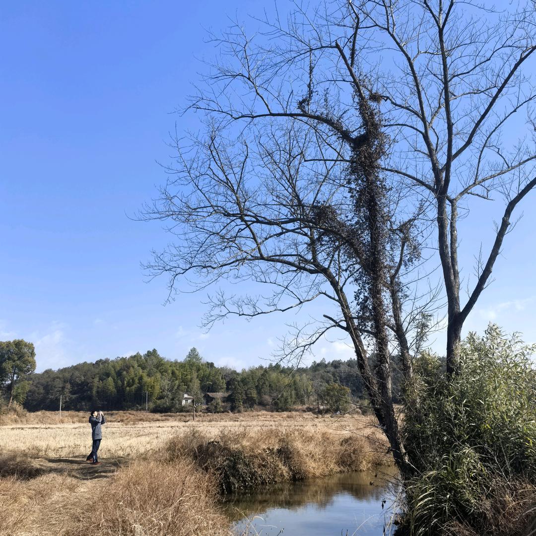 太美创投徐小主