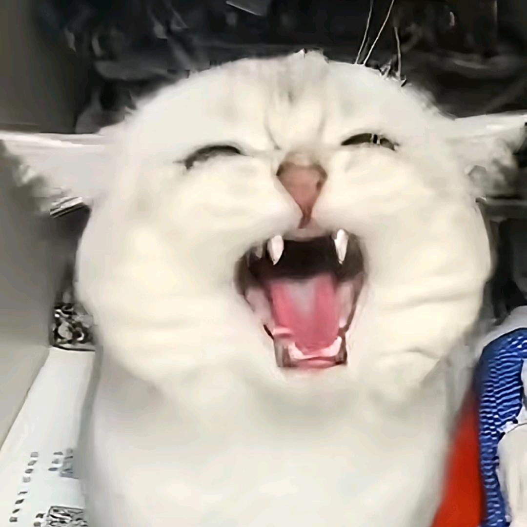 冰美式不加冰