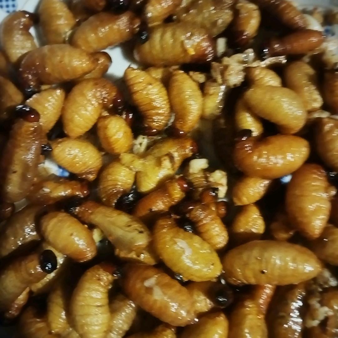 龙旺种养