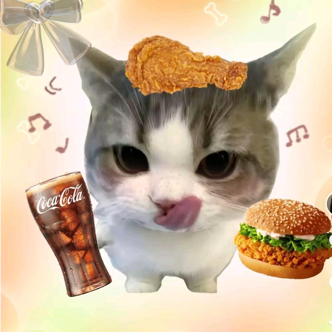 汉堡🍔猫