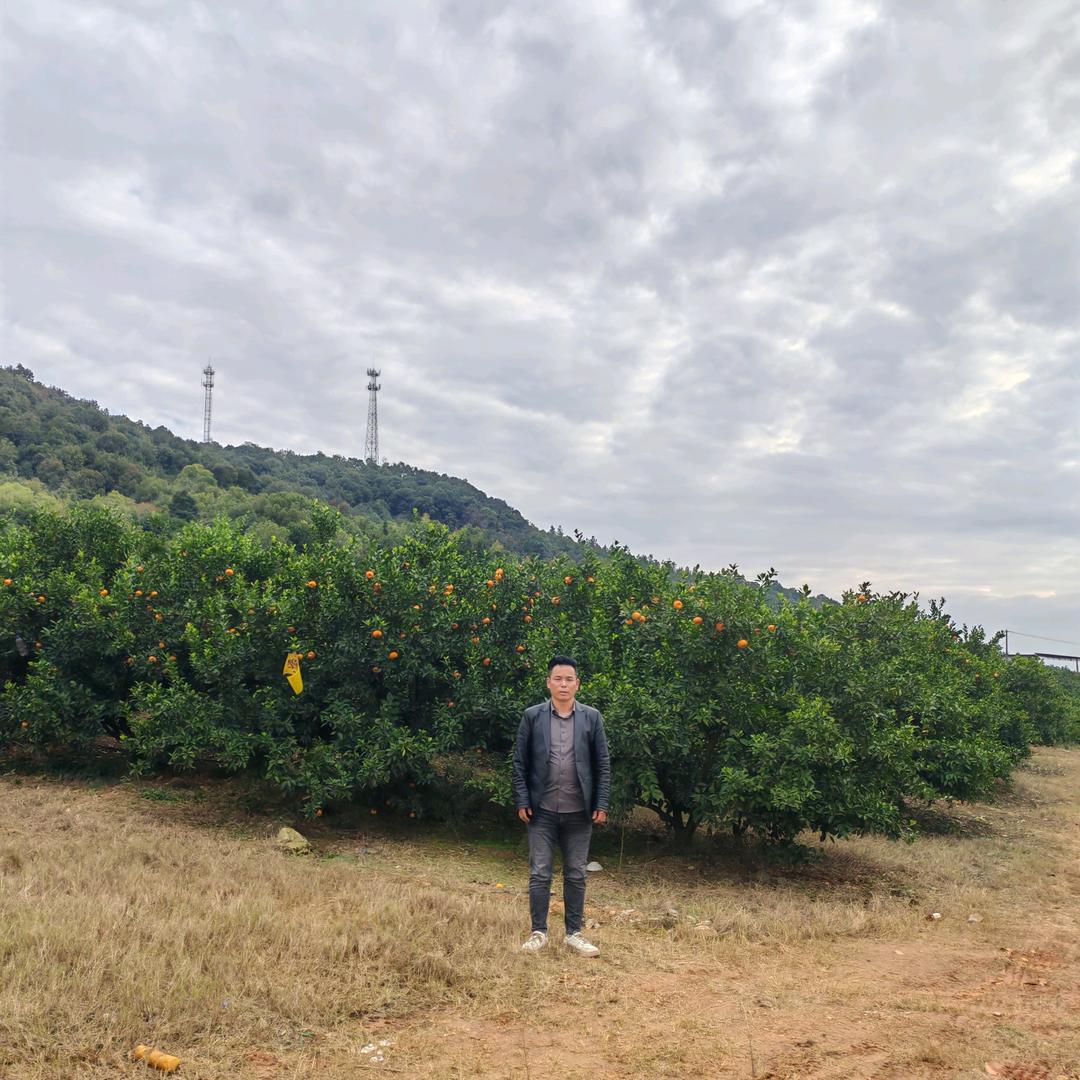 渝水区弘宇法律咨询中心