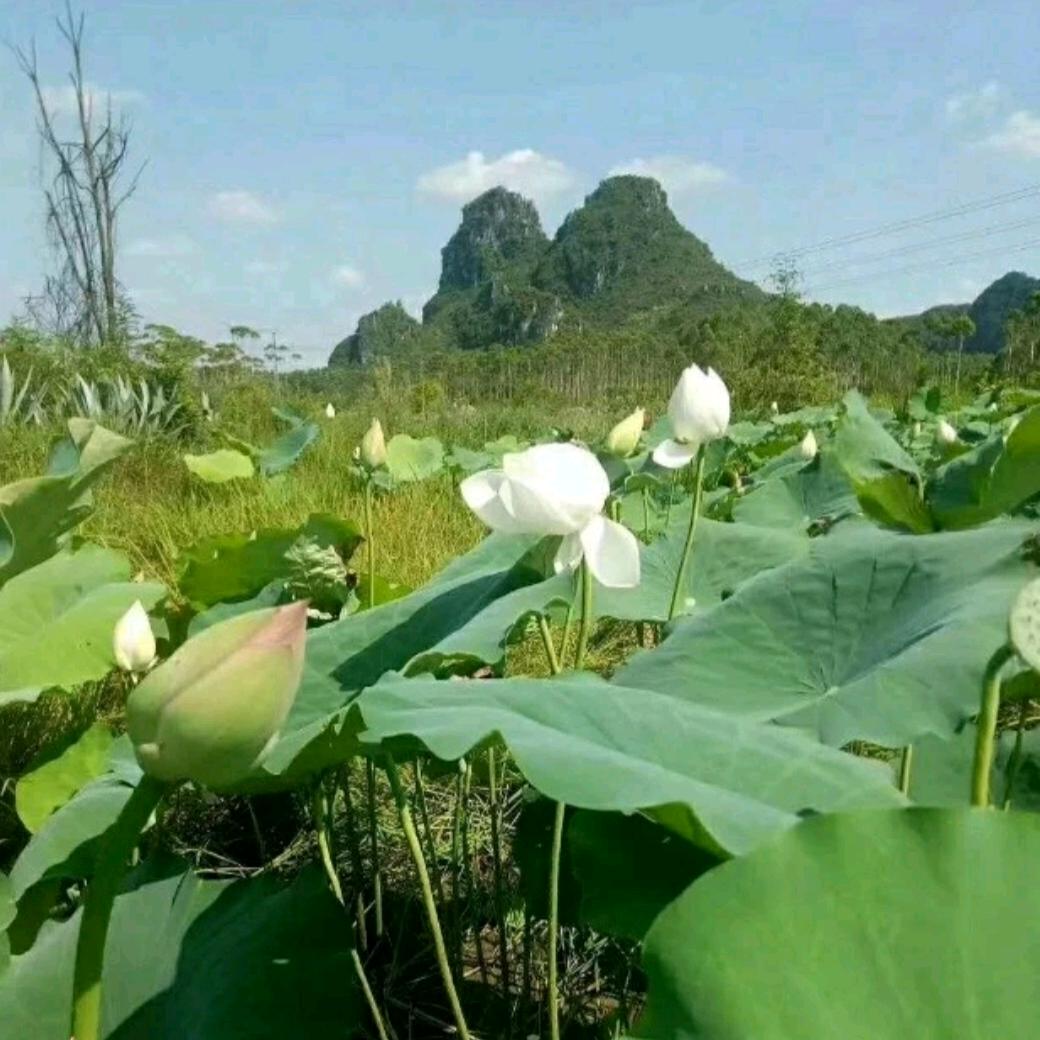红颜知己🌾️🌾️🌾️