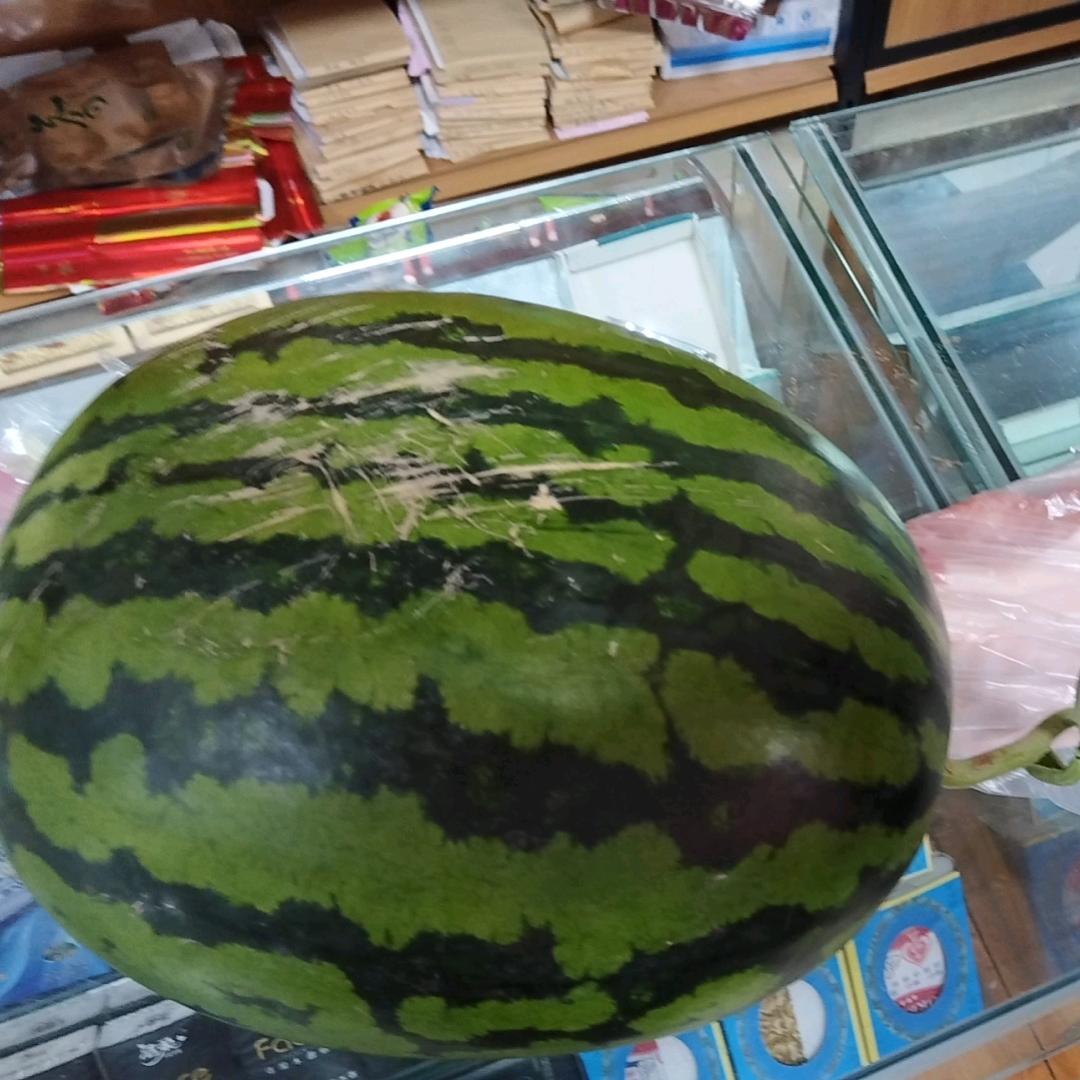 文房四宝BJ