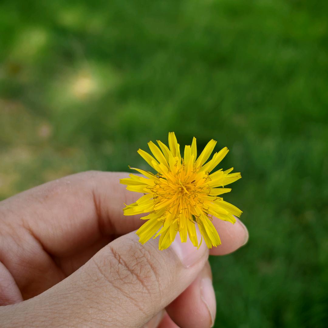 好多小点点