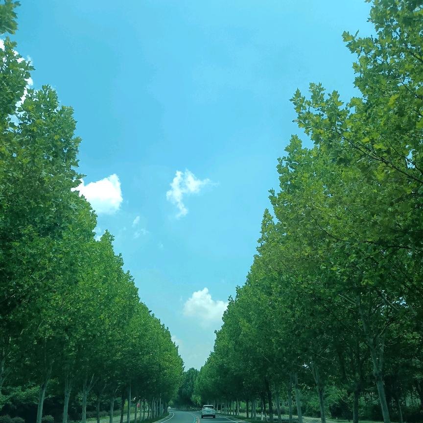 许昌恒业永爱车