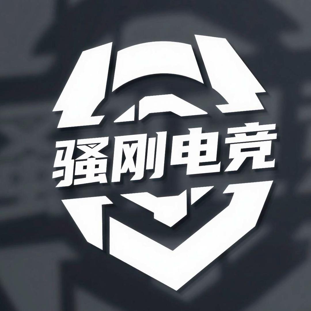 骚刚电竞俱乐部