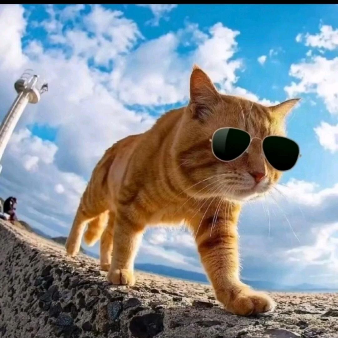 江山如此多娇。