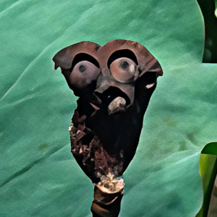 简