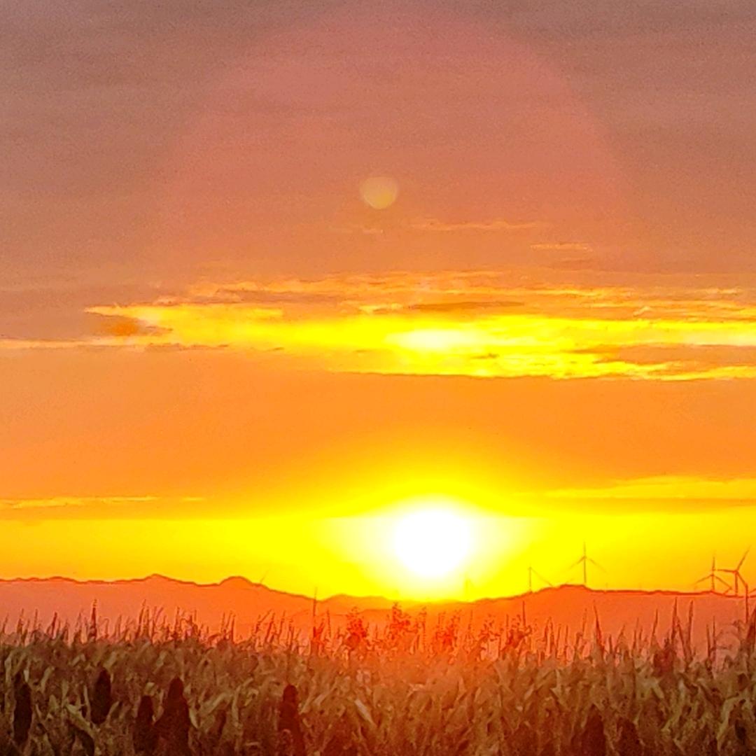 狮子 月光 左边 你和我