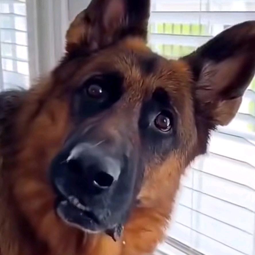 修心养性戏红颜