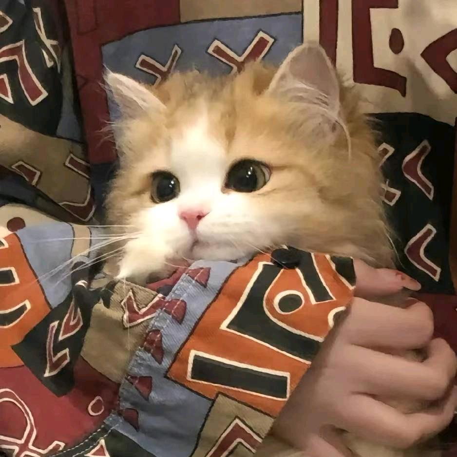 农夫三拳有点疼-