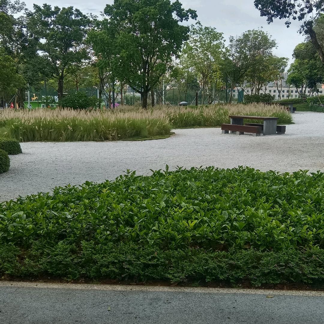 随心所遇
