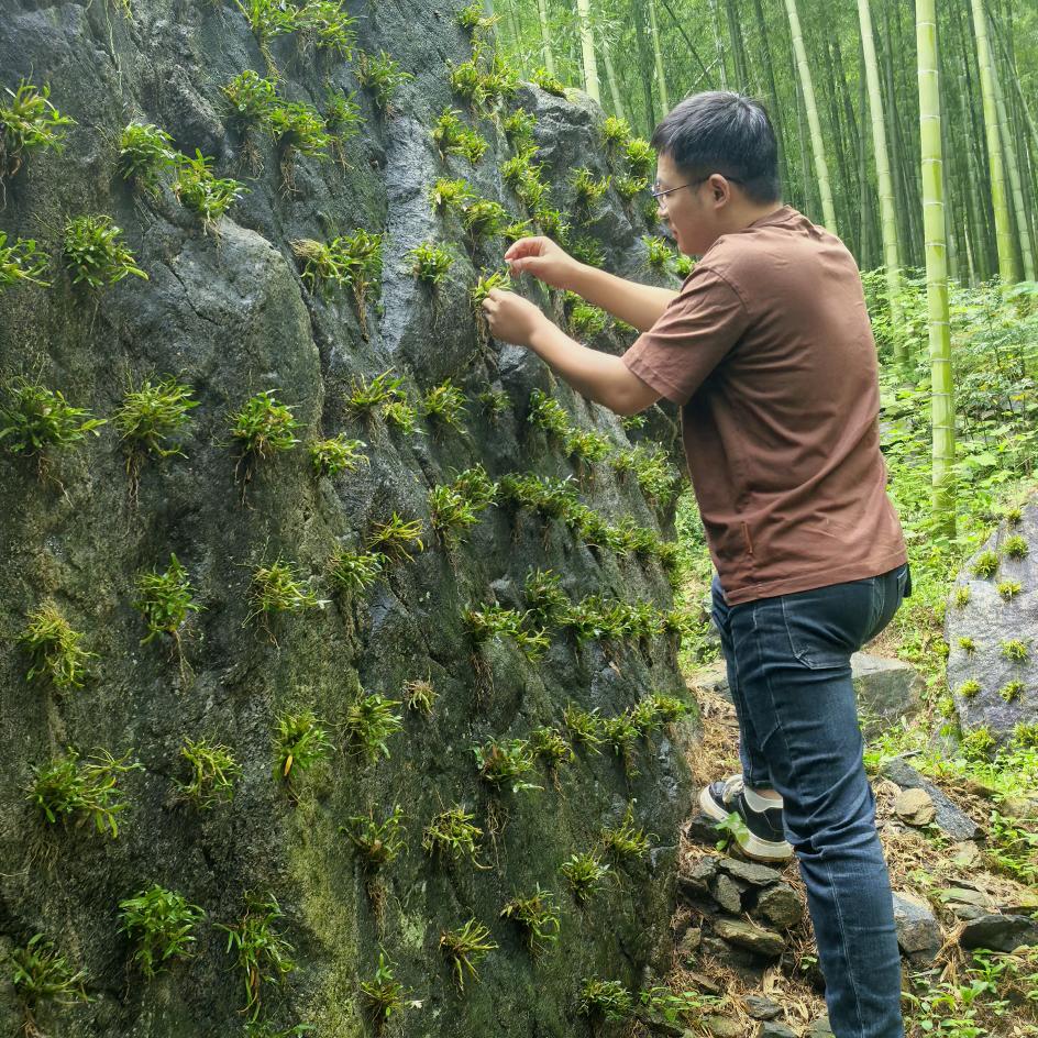 霍山县斛坳堂颜宇滋补养生