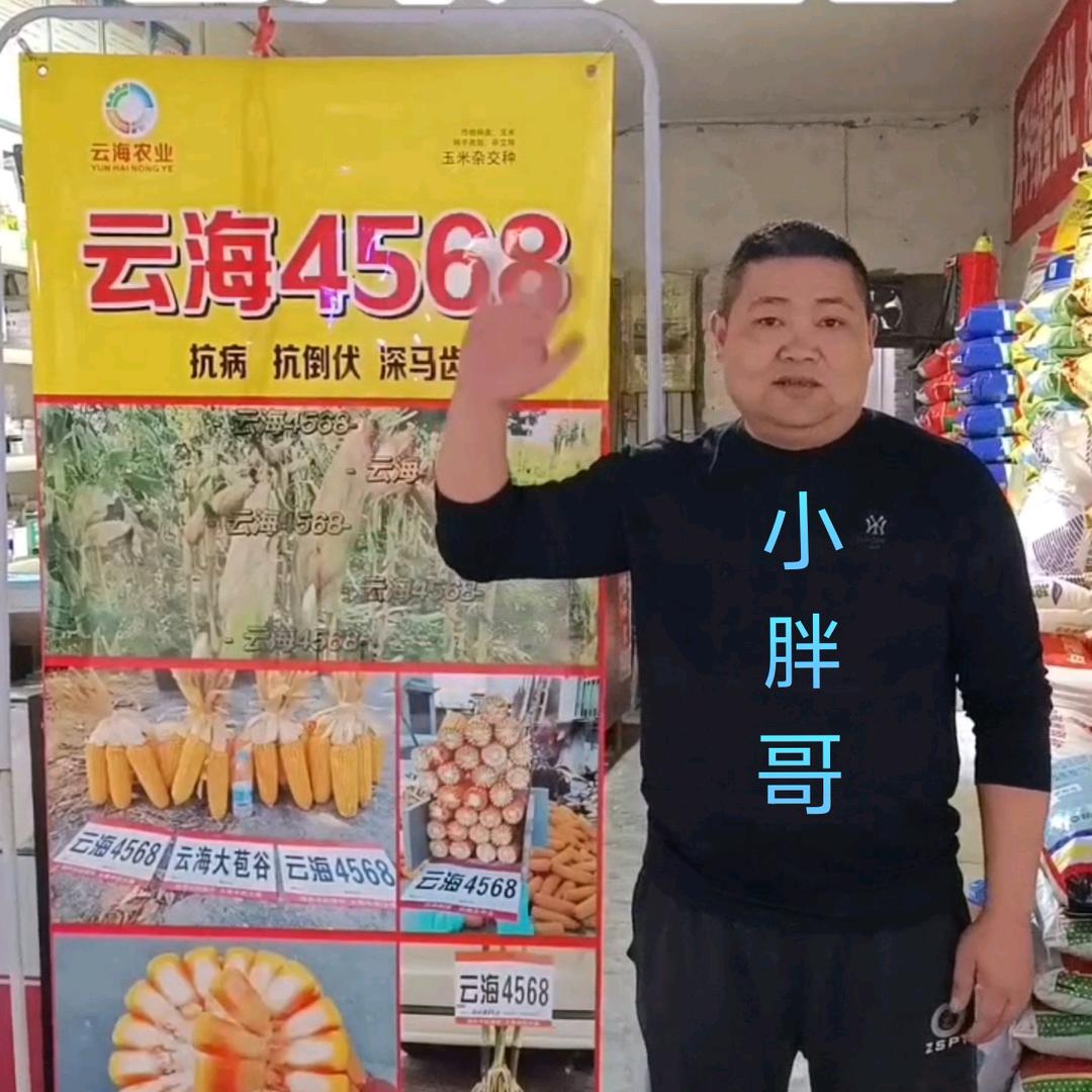 泸州江北镇农资小胖哥