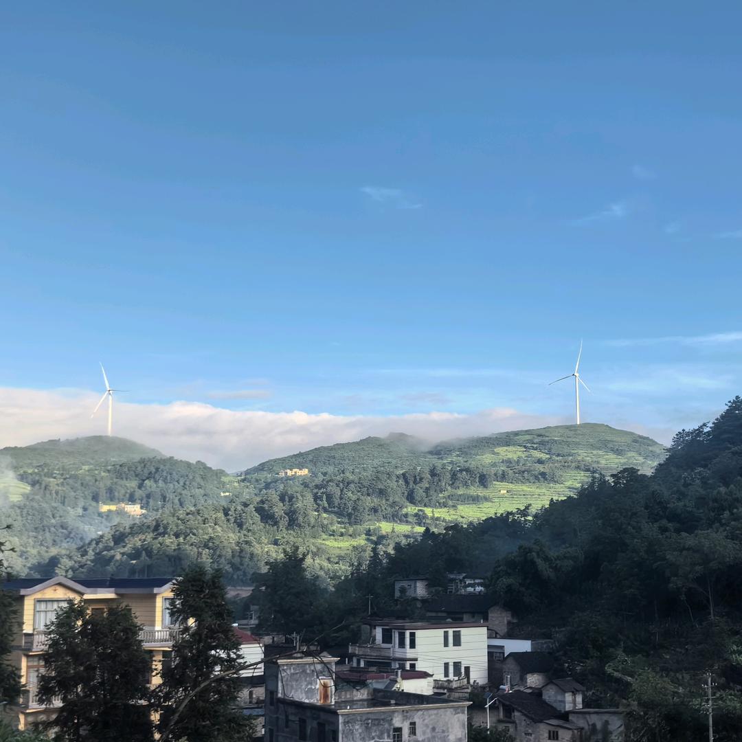 欢欢乐乐记生活