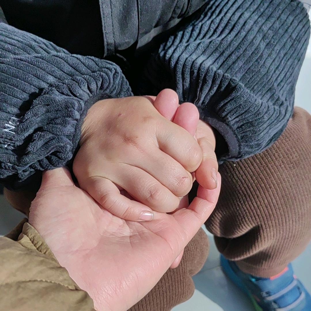燕子橱窗里有好物