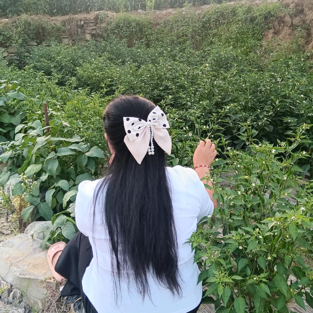 与我相识在网络