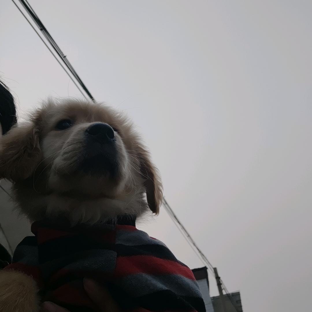 涧
