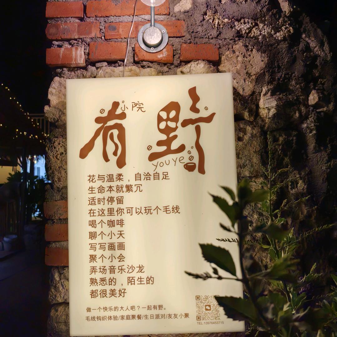 不懂开🌼的野乔木