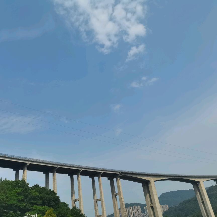 为🌷责🍭任❤️而🌹活