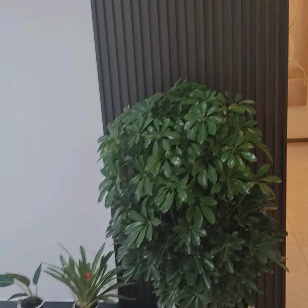 往事随风