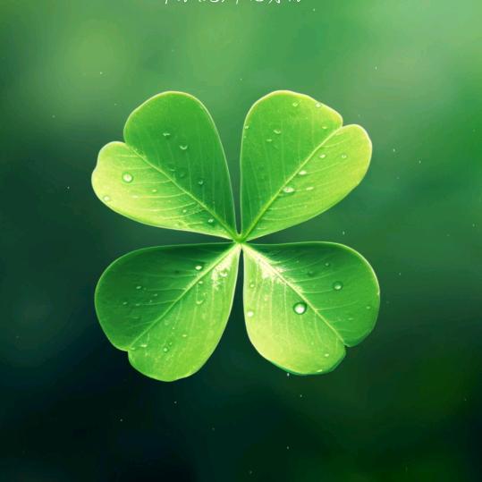 四叶草🍀