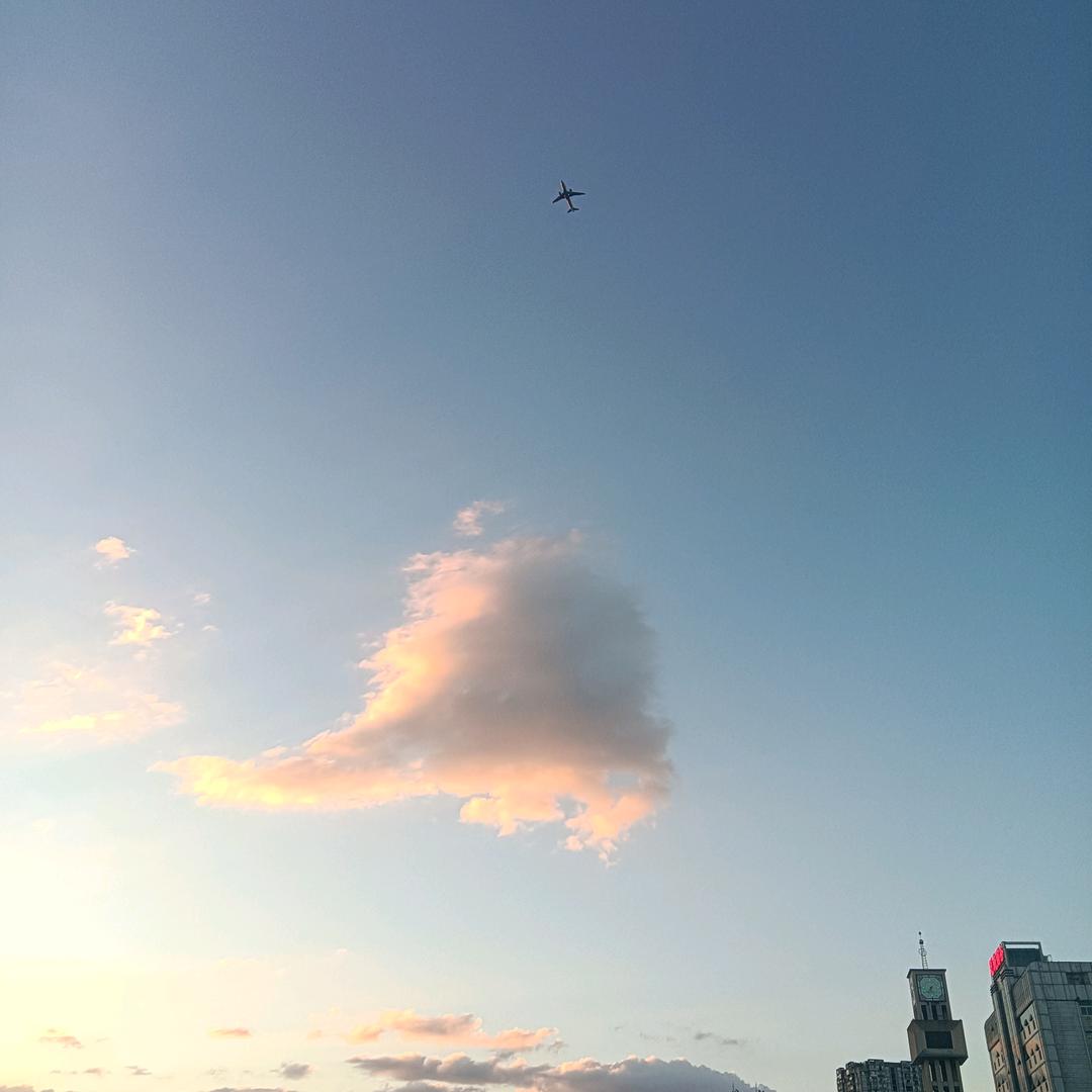 。w.